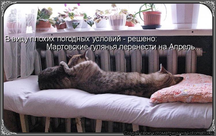 Котоматрица: В виду плохих погодных условий - решено: Мартовские гулянья перенести на Апрель...