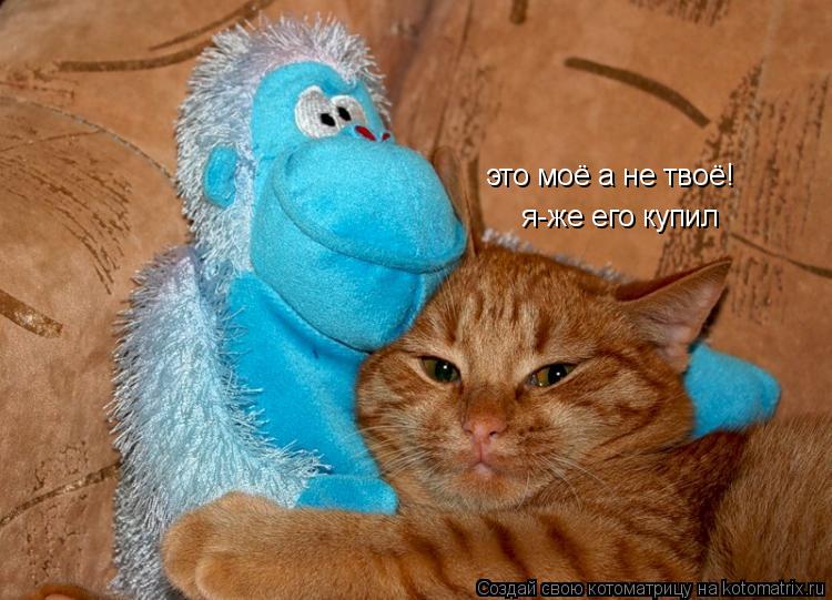 Котоматрица: это моё а не твоё! я-же его купил