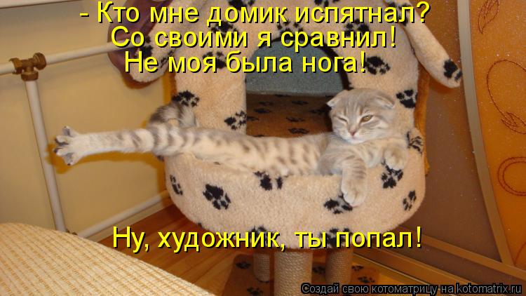 Котоматрица: - Кто мне домик испятнал? Со своими я сравнил! Не моя была нога! Ну, художник, ты попал!