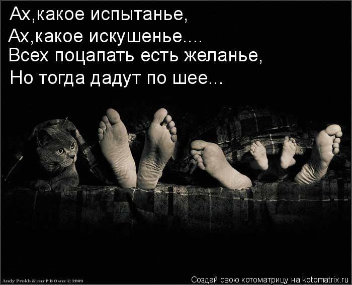 Котоматрица: Ах,какое испытанье, Ах,какое искушенье.... Всех поцапать есть желанье, Но тогда дадут по шее...