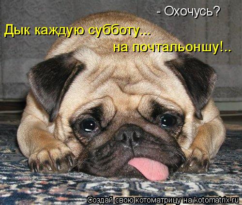 - Охочусь? Дык каждую субботу... на почтальоншу!..... Котоматрица: - Охочусь? Дык каждую субботу... на почтальоншу!..