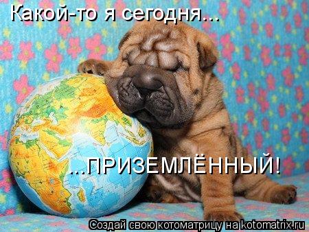 Какой-то я сегодня... ...ПРИЗЕМЛЕННЫЙ! ..... Котоматрица: Какой-то я сегодня... ...ПРИЗЕМЛЕННЫЙ! ..