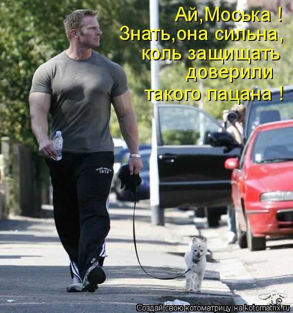 Ай,Моська ! Знать,она сильна, коль защищать доверили такого пацана !... Котоматрица: Ай,Моська ! Знать,она сильна, коль защищать доверили такого пацана !
