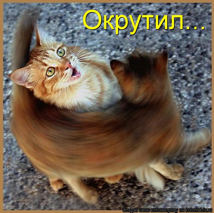 Котоматрица: Окрутил...