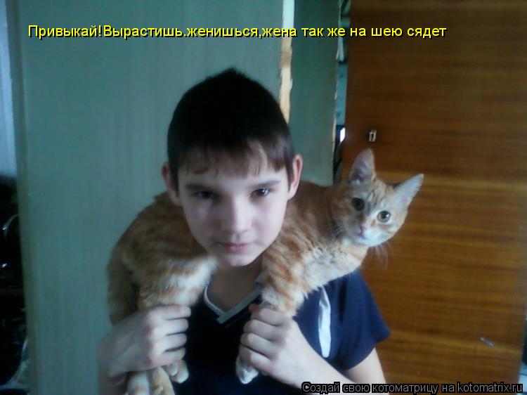 Котоматрица: Привыкай!Вырастишь.женишься,жена так же на шею сядет