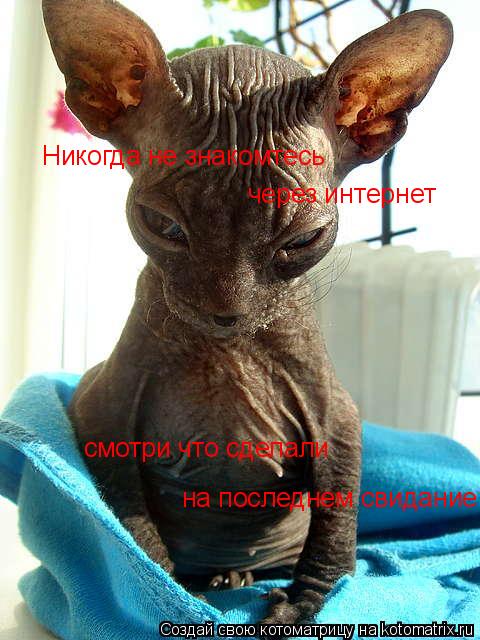 Никогда не знакомтесь через интернет на последнем свидание смотри что сделали... Котоматрица: Никогда не знакомтесь через интернет на последнем свидание смотри что сделали