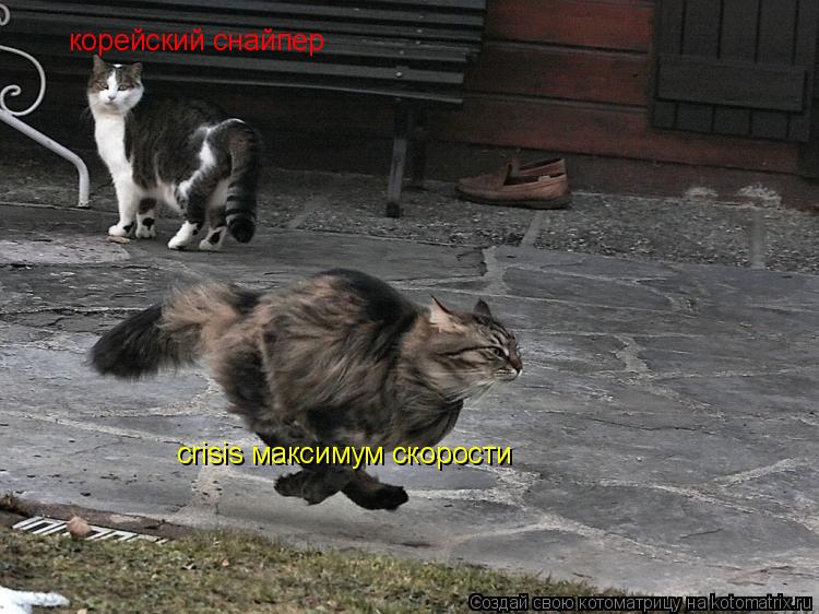 crisis максимум скорости корейский снайпер... Котоматрица: crisis максимум скорости корейский снайпер