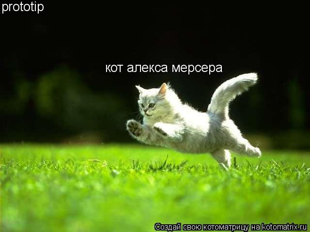 кот алекса мерсера prototip... Котоматрица: кот алекса мерсера prototip