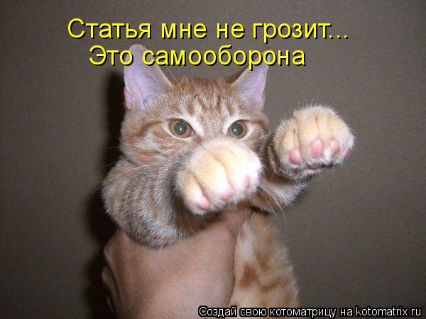 Статья мне не грозит... Это самооборона... Котоматрица: Статья мне не грозит... Это самооборона