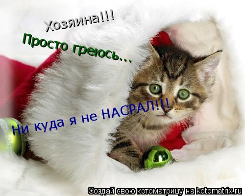 Хозяина!!! Просто греюсь... Ни куда я не НАСРАЛ!!!... Котоматрица: Хозяина!!! Просто греюсь... Ни куда я не НАСРАЛ!!!