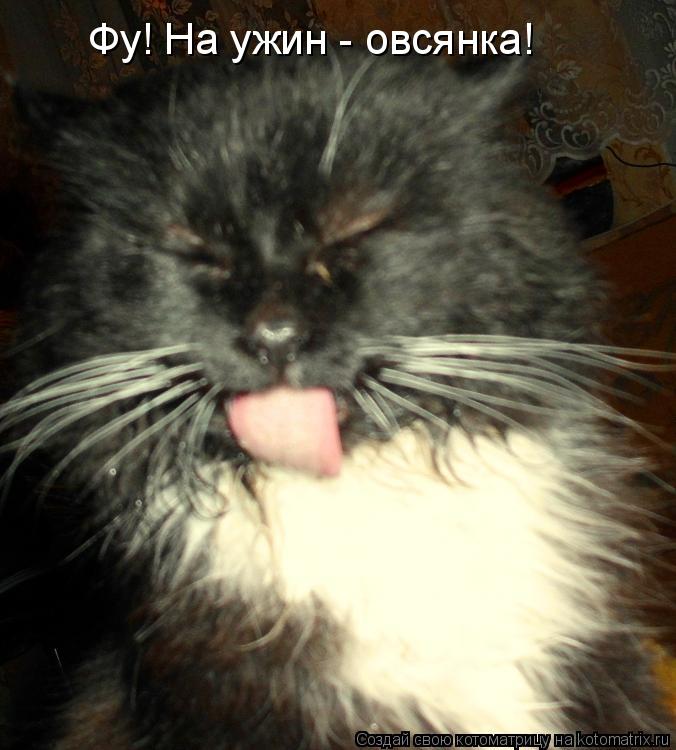 Фу! На ужин - овсянка!... Котоматрица: Фу! На ужин - овсянка!