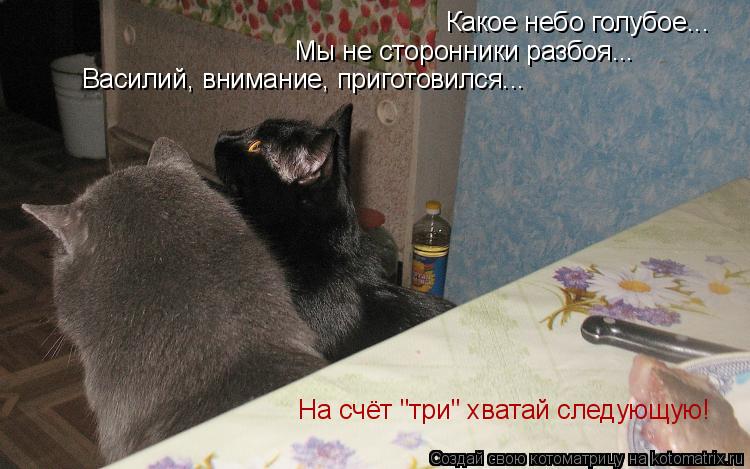 Какое небо голубое... Мы не сторонники разбоя... Василий, внимание, приготовился... На счёт "три" хва... Котоматрица: Какое небо голубое... Мы не сторонники разбоя... Василий, внимание, приготовился... На счёт "три" хватай следующую!