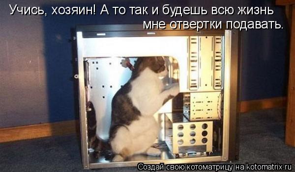Учись, хозяин! А то так и будешь всю жизнь мне отвертки подавать.... Котоматрица: Учись, хозяин! А то так и будешь всю жизнь мне отвертки подавать.