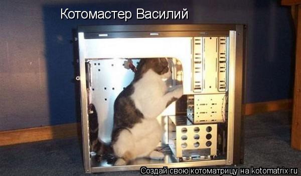 Котомастер Василий... Котоматрица: Котомастер Василий