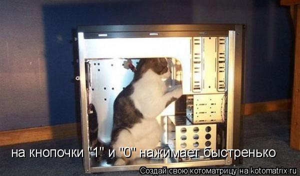 на кнопочки "1" и "0" нажимает быстренько... Котоматрица: на кнопочки "1" и "0" нажимает быстренько