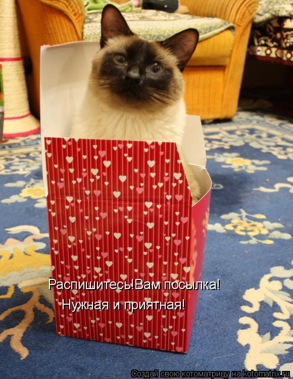 Распишитесь!Вам посылка! Нужная и приятная!... Котоматрица: Распишитесь!Вам посылка! Нужная и приятная!