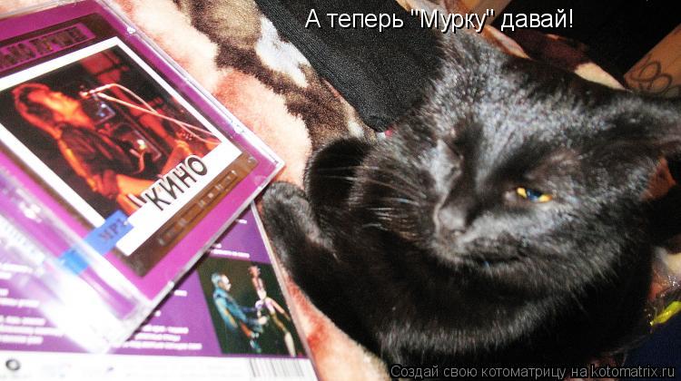 А теперь "Мурку" давай!... Котоматрица: А теперь "Мурку" давай!