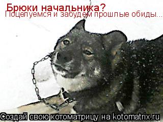 Брюки начальника? Поцелуемся и забудем прошлые обиды...... Котоматрица: Брюки начальника? Поцелуемся и забудем прошлые обиды...