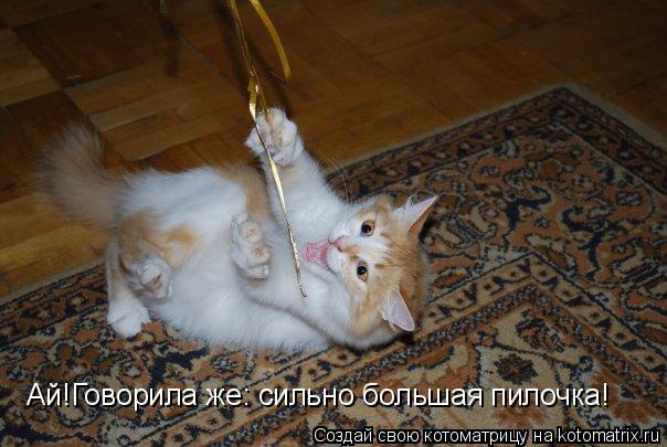 Ай!Говорила же: сильно большая пилочка!... Котоматрица: Ай!Говорила же: сильно большая пилочка!
