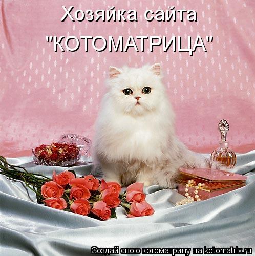 Хозяйка сайта "КОТОМАТРИЦА"... Котоматрица: Хозяйка сайта "КОТОМАТРИЦА"