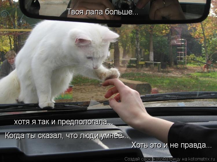 Твоя лапа больше... хотя я так и предпологала... Когда ты сказал, что люди умнее... Хоть это и не пра... Котоматрица: Твоя лапа больше... хотя я так и предпологала... Когда ты сказал, что люди умнее... Хоть это и не правда...