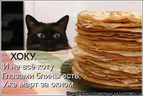 Глазами блины есть, Уже март за окном. И не всё коту ХОКУ.... Котоматрица: Глазами блины есть, Уже март за окном. И не всё коту ХОКУ.