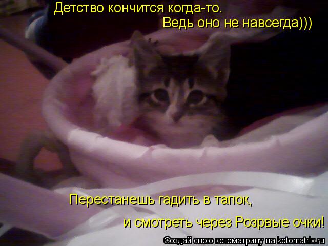 Детство кончится когда-то. Ведь оно не навсегда))) Перестанешь гадить в тапок, и смотреть через Р... Котоматрица: Детство кончится когда-то. Ведь оно не навсегда))) Перестанешь гадить в тапок, и смотреть через Розрвые очки!