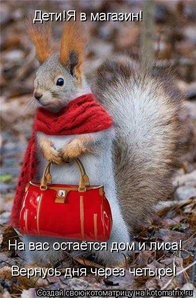 Дети!Я в магазин! На вас остаётся дом и лиса! Вернусь дня через четыре!... Котоматрица: Дети!Я в магазин! На вас остаётся дом и лиса! Вернусь дня через четыре!