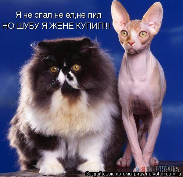 Я не спал,не ел,не пил НО ШУБУ Я ЖЕНЕ КУПИЛ!!!... Котоматрица: Я не спал,не ел,не пил НО ШУБУ Я ЖЕНЕ КУПИЛ!!!