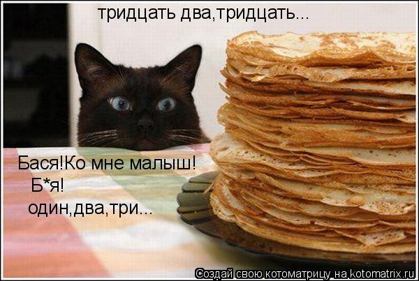 тридцать два,тридцать... Бася!Ко мне малыш! Б*я! один,два,три...... Котоматрица: тридцать два,тридцать... Бася!Ко мне малыш! Б*я! один,два,три...