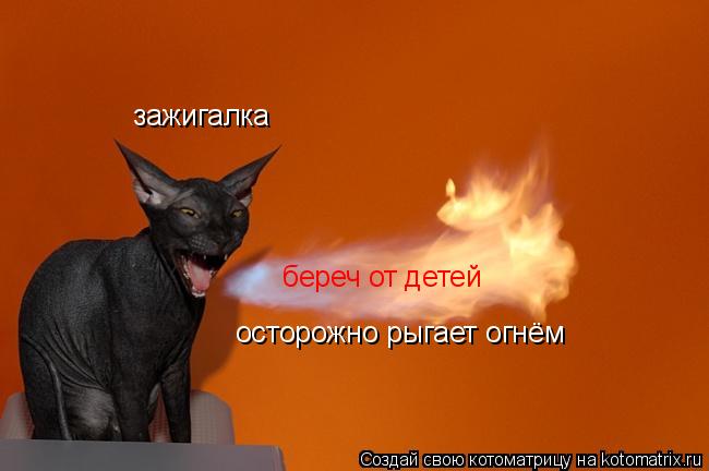 зажигалка осторожно рыгает огнём береч от детей... Котоматрица: зажигалка осторожно рыгает огнём береч от детей