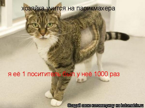 я её 1 посититель был у неё 1000 раз хозяйка учится на парикмахера... Котоматрица: я её 1 посититель был у неё 1000 раз хозяйка учится на парикмахера