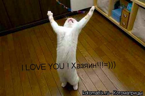 I LOVE YOU ! Хазяин!!!=)))... Котоматрица: I LOVE YOU ! Хазяин!!!=)))