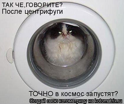 ТАК ЧЕ,ГОВОРИТЕ? После центрифуги ТОЧНО в космос запустят?... Котоматрица: ТАК ЧЕ,ГОВОРИТЕ? После центрифуги ТОЧНО в космос запустят?