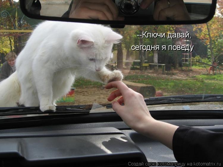 --Ключи давай,Сегодня я поведу --Ключи давай, сегодня я поведу... Котоматрица: --Ключи давай,Сегодня я поведу --Ключи давай, сегодня я поведу