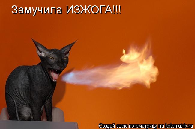Замучила ИЗЖОГА!!!... Котоматрица: Замучила ИЗЖОГА!!!