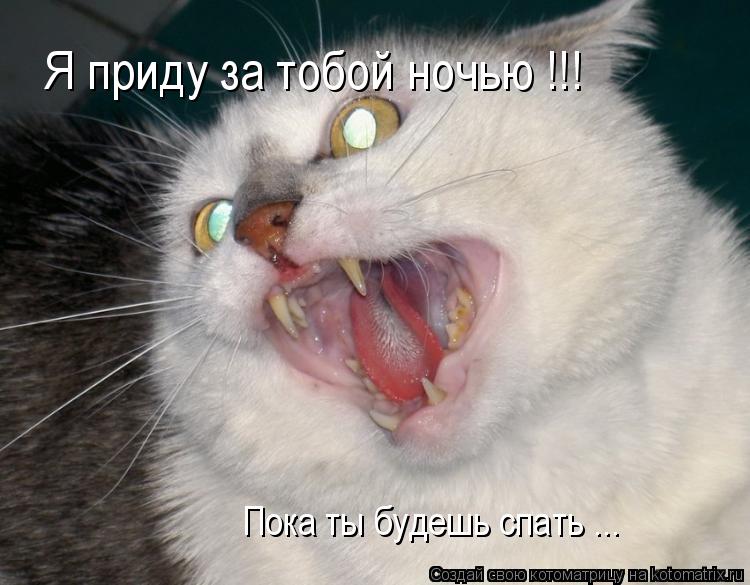 Я приду за тобой ночью !!! Пока ты будешь спать ...... Котоматрица: Я приду за тобой ночью !!! Пока ты будешь спать ...