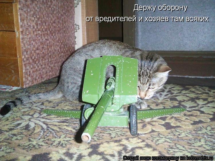 Держу оборону от вредителей и хозяев там всяких... Котоматрица: Держу оборону от вредителей и хозяев там всяких