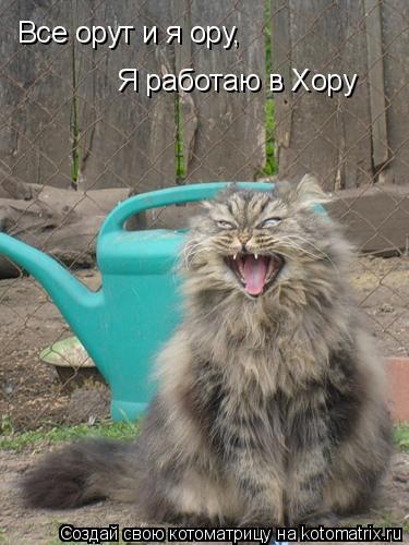 Все орут и я ору, Я работаю в Хору... Котоматрица: Все орут и я ору, Я работаю в Хору
