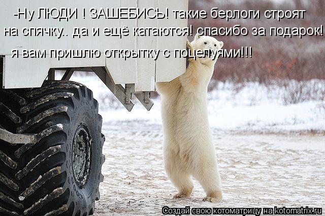 -Ну ЛЮДИ ! ЗАШЕБИСЬ! такие берлоги строят на спячку.. да и ещё катаются! спасибо за подарок! я вам п... Котоматрица: -Ну ЛЮДИ ! ЗАШЕБИСЬ! такие берлоги строят на спячку.. да и ещё катаются! спасибо за подарок! я вам пришлю открытку с поцелуями!!!