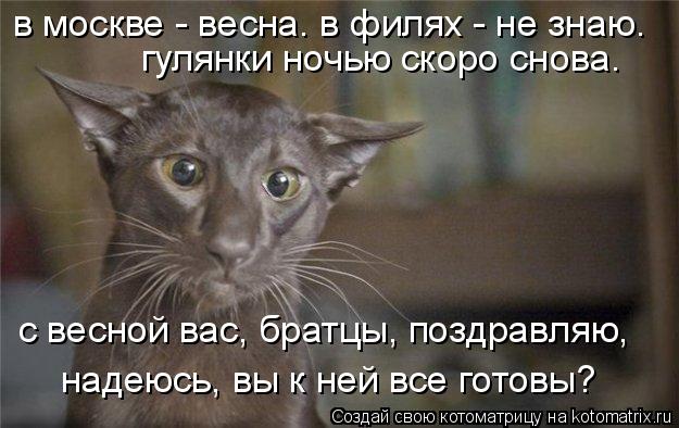 Котоматрица: в москве - весна. в филях - не знаю. гулянки ночью скоро снова. с весной вас, братцы, поздравляю, надеюсь, вы к ней все готовы?