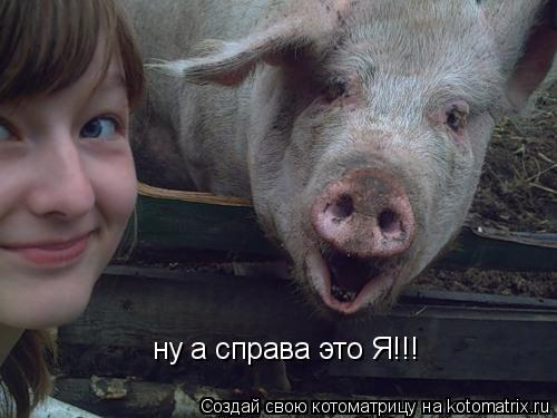 ну а справа это Я!!!... Котоматрица: ну а справа это Я!!!