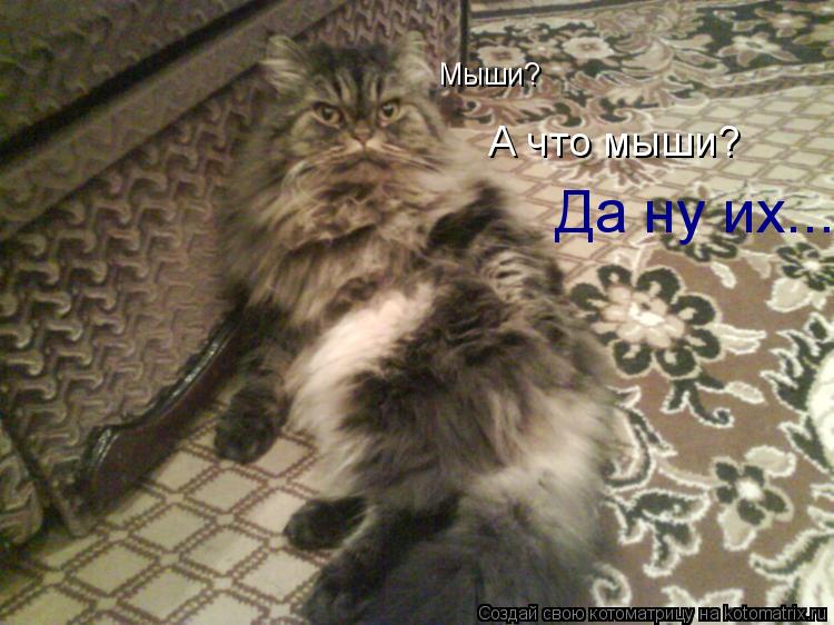 Мыши? А что мыши? Да ну их...... Котоматрица: Мыши? А что мыши? Да ну их...