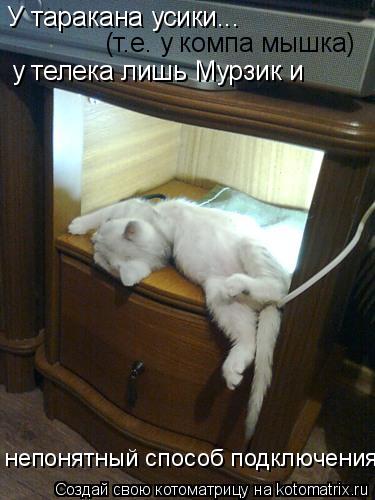 Котоматрица: У таракана усики... (т.е. у компа мышка) у телека лишь Мурзик и непонятный способ подключения