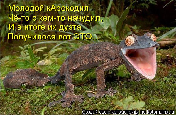 Молодой кАрокодил Чё-то с кем-то начудил, И в итоге их дуэта Получилося вот ЭТО...... Котоматрица: Молодой кАрокодил Чё-то с кем-то начудил, И в итоге их дуэта Получилося вот ЭТО...