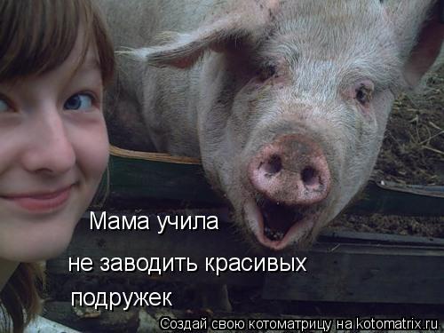Котоматрица: Мама учила  не заводить красивых подружек