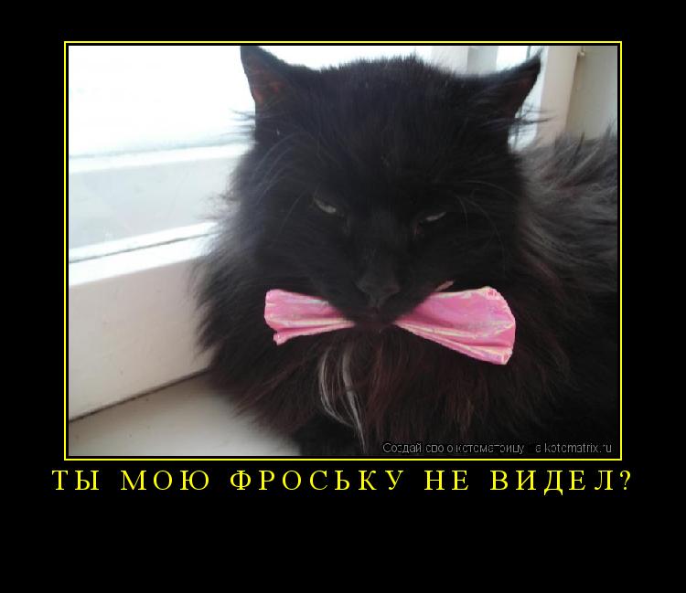 Ты мою Фроську не видел? ... Котоматрица: Ты мою Фроську не видел?