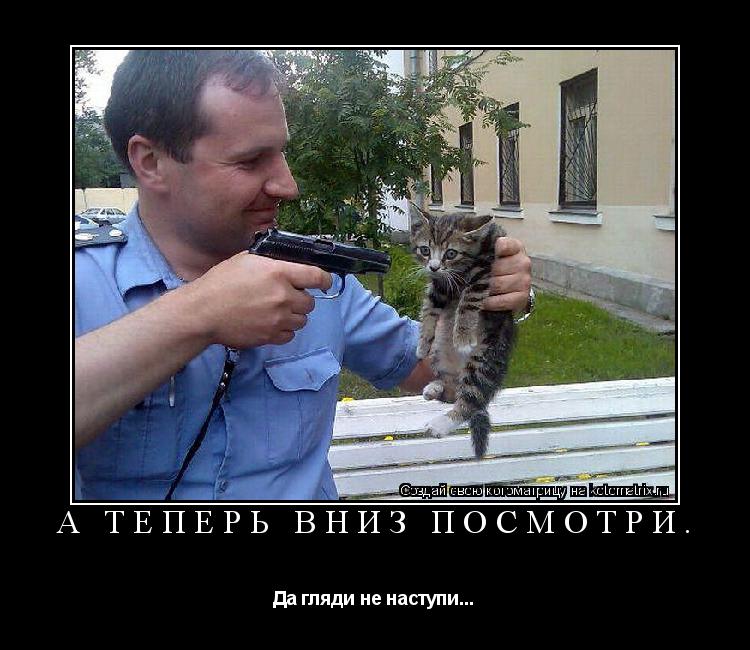 Котоматрица: А теперь вниз посмотри. Да гляди не наступи...