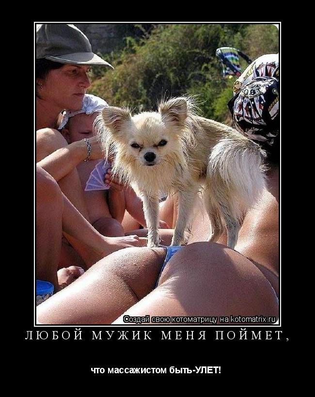 Котоматрица: Любой мужик меня поймет, что массажистом быть-УЛЕТ! 