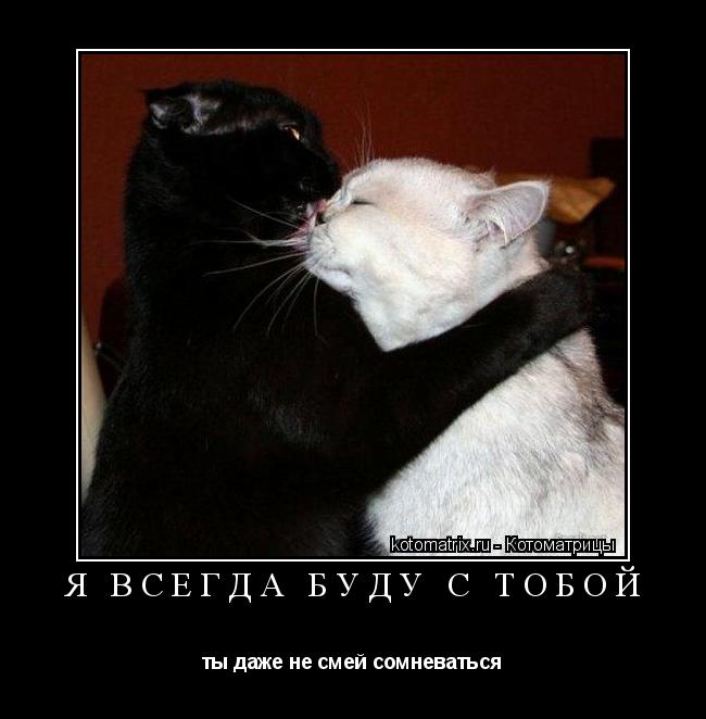 Я всегда буду с тобой ты даже не смей сомневаться... Котоматрица: Я всегда буду с тобой ты даже не смей сомневаться